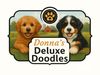 Donna's Deluxe Golden Doodles Logo