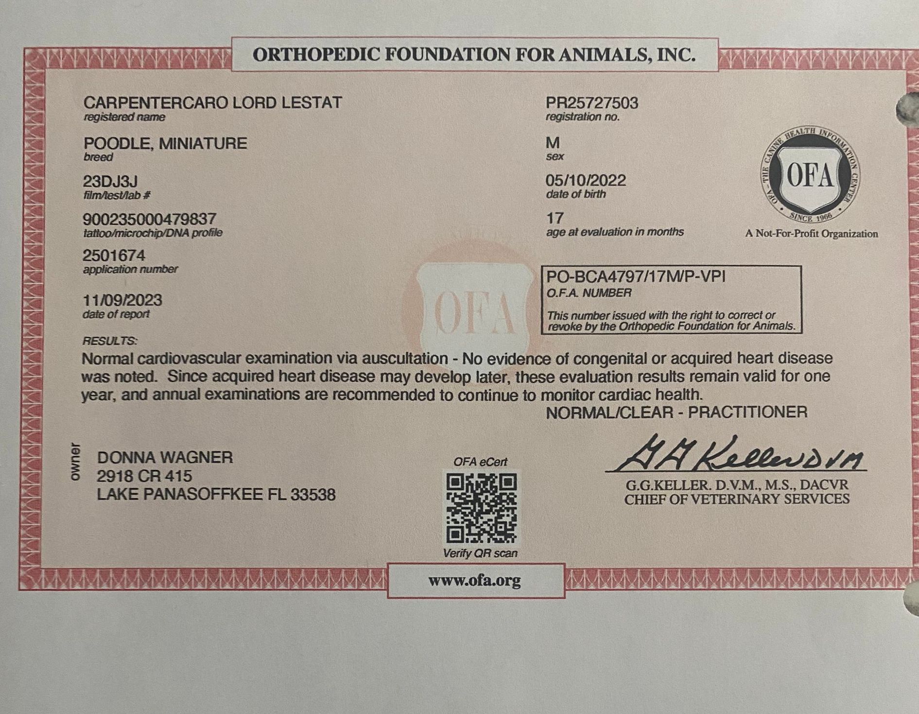 A certificate from the orthopedic foundation for animals