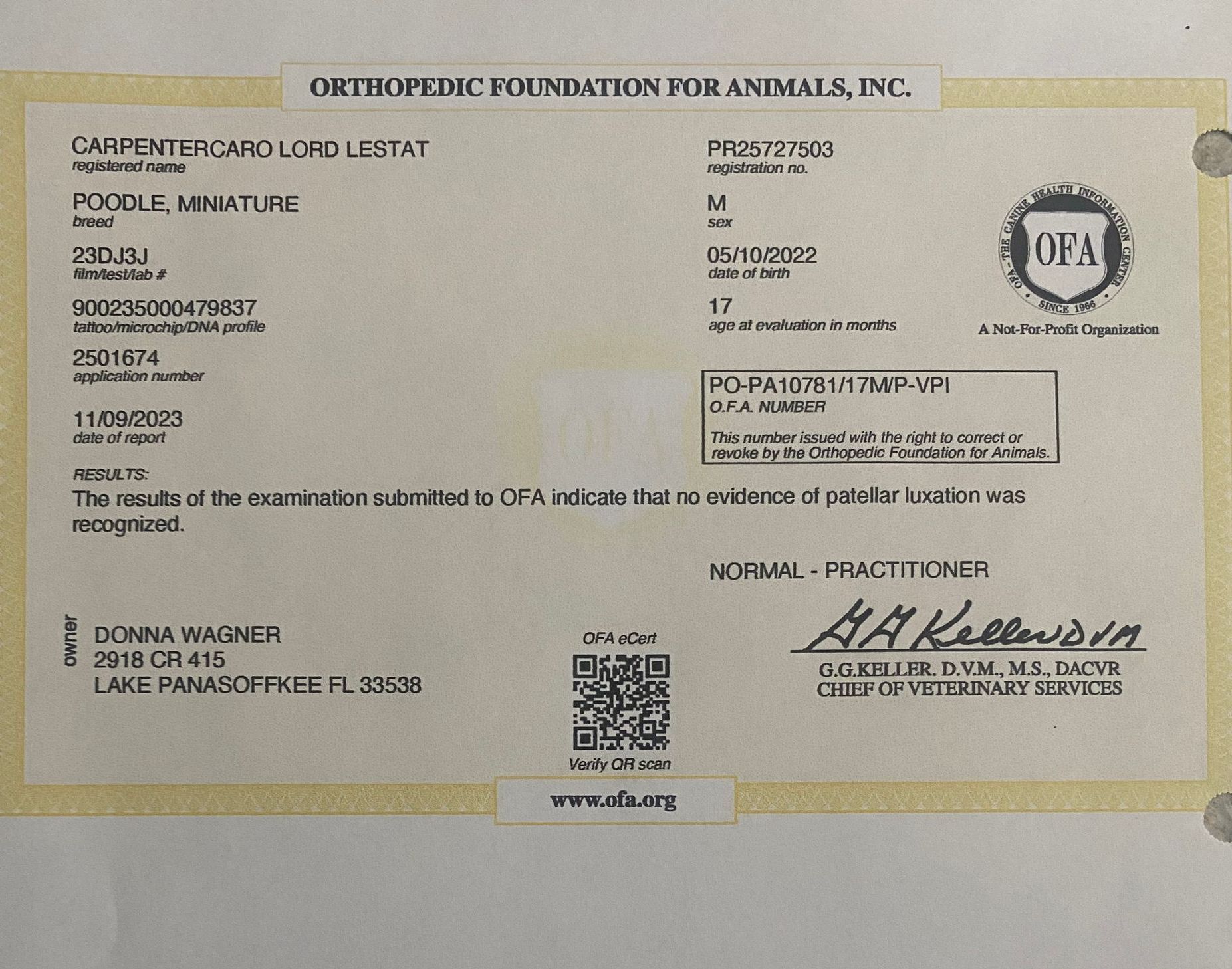 A certificate from the orthopedic foundation for animals