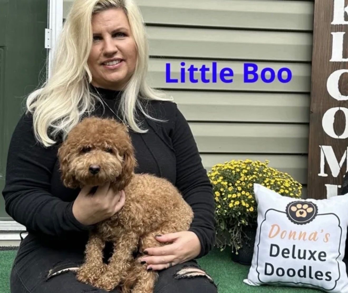 Donna holding Little Boo, a red Mini Goldendoodle, at Donna's Deluxe Doodles