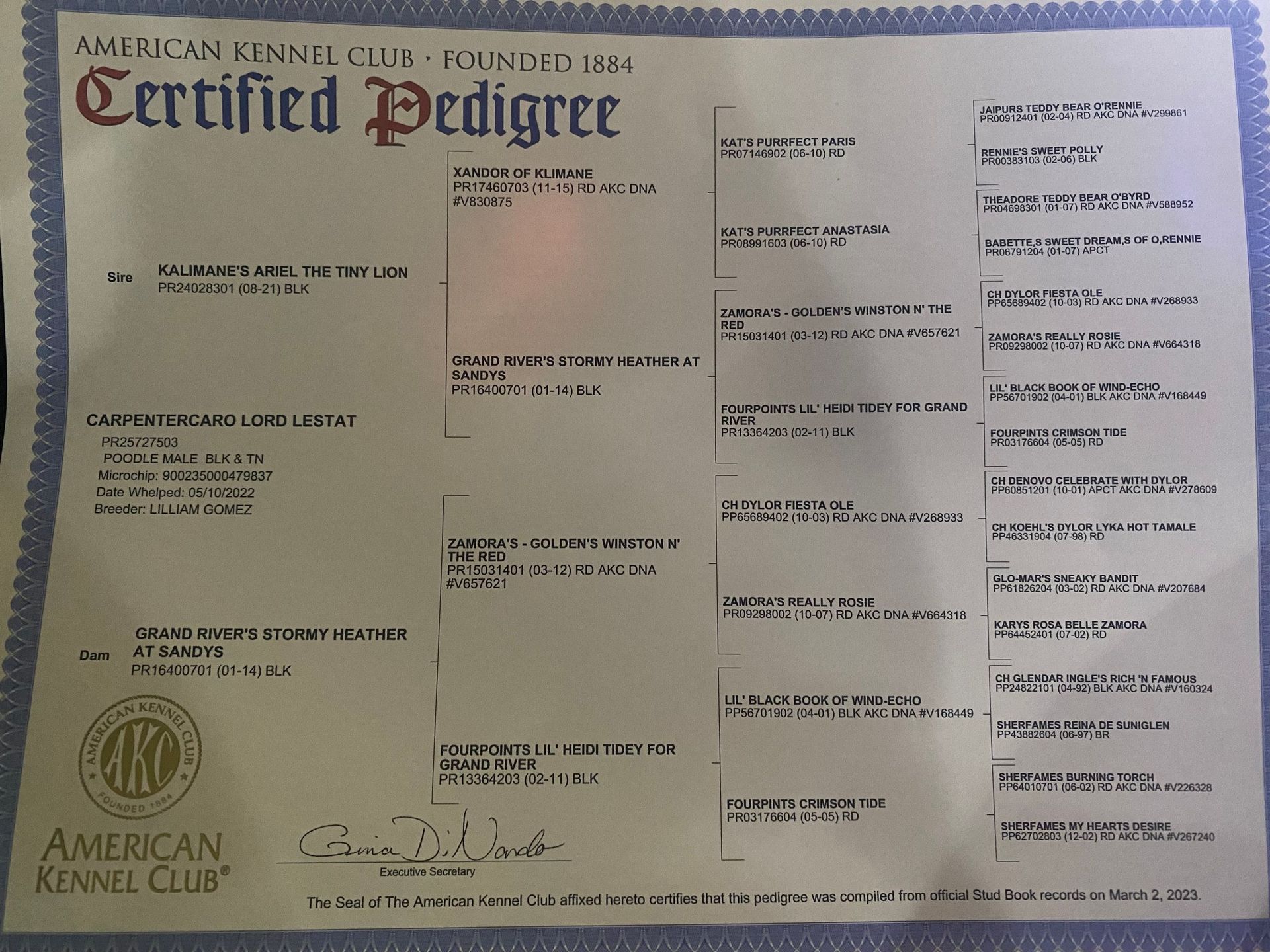 A certified pedigree from the american kennel club