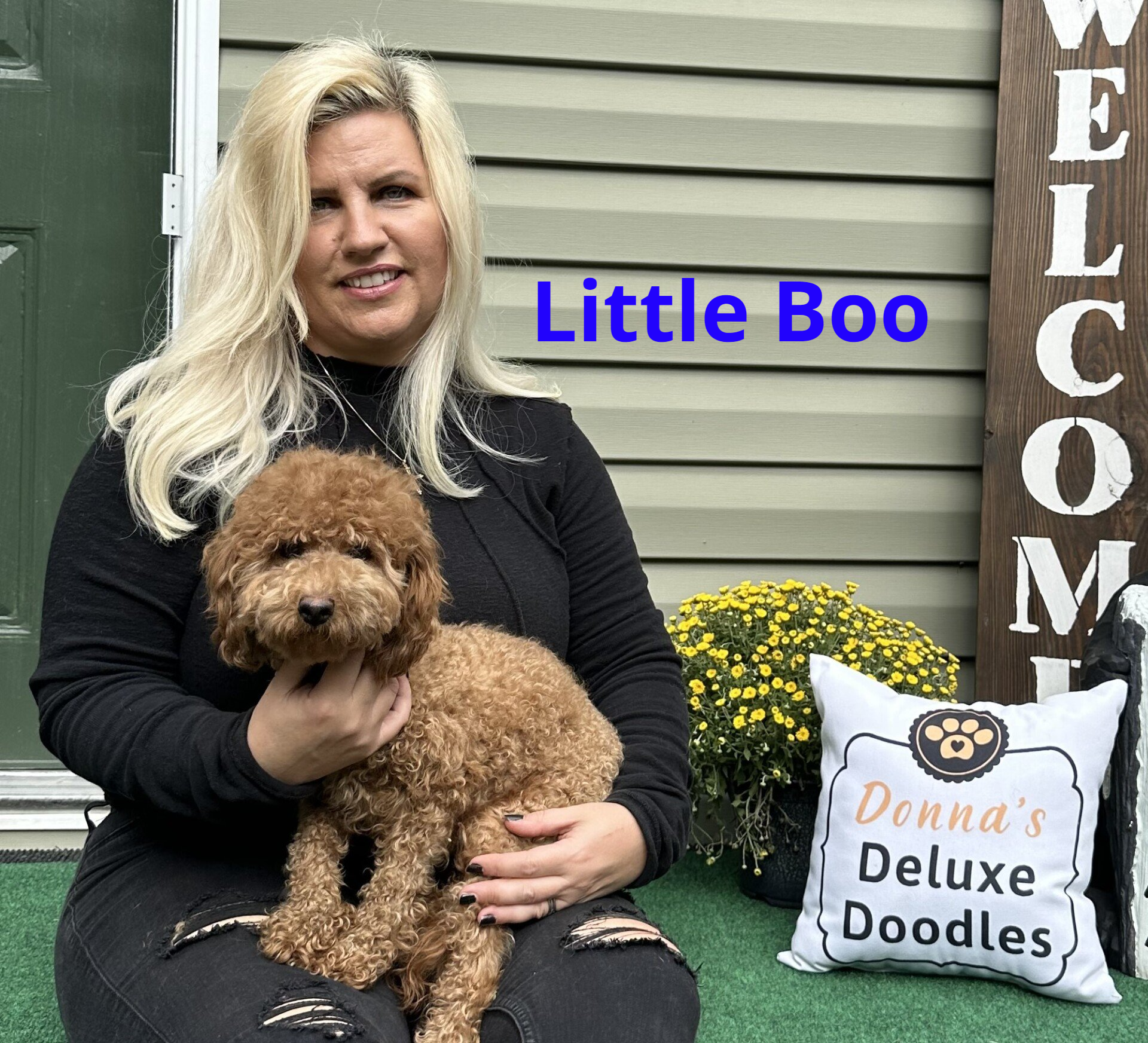 A woman is holding a small brown dog next to a pillow that says donna 's deluxe doodles.