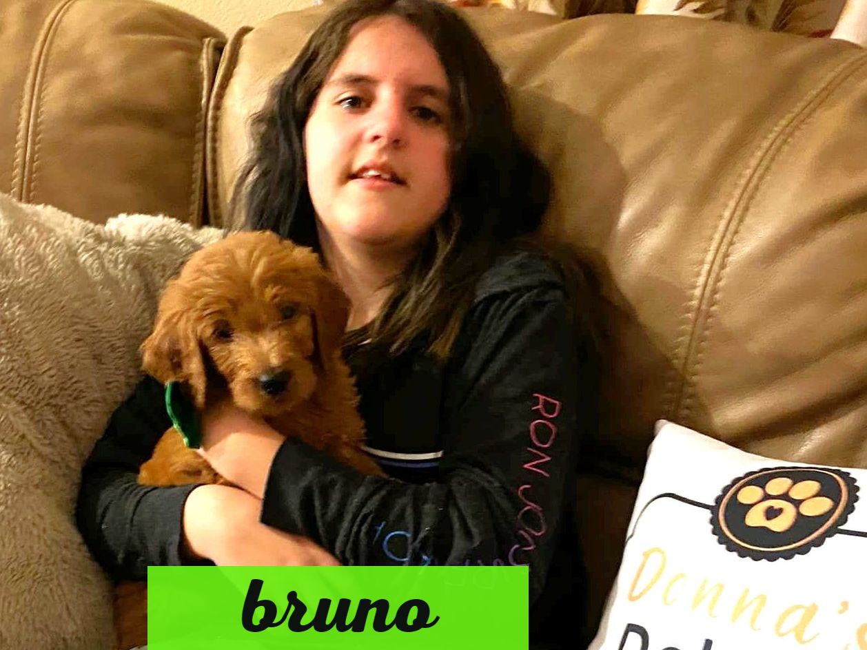 A girl is sitting on a couch holding a puppy.