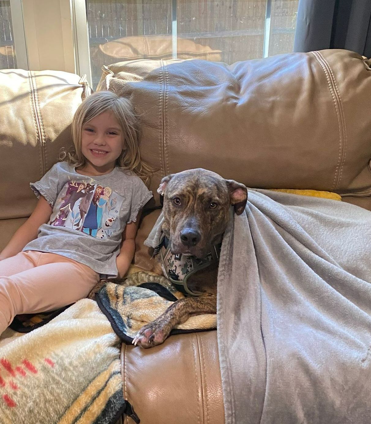 A little girl is sitting on a couch next to a dog covered in a blanket.