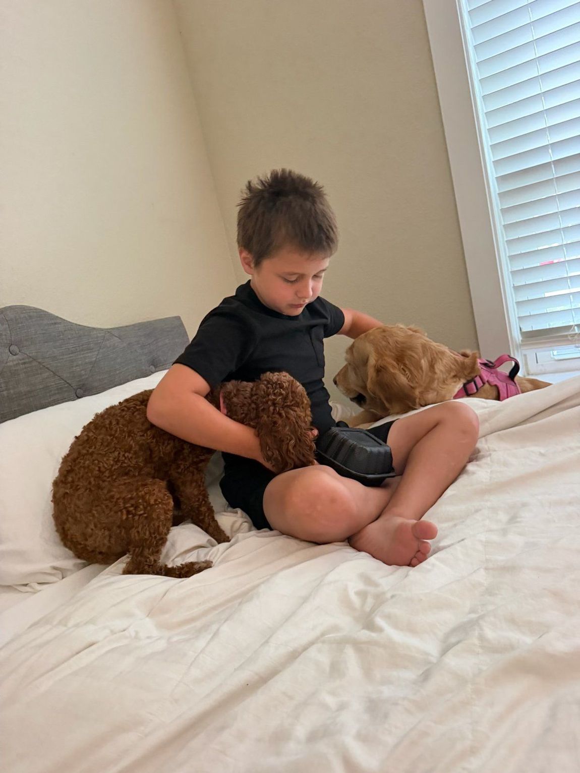Boy relaxing on the bed with the family's red poodle and doodle