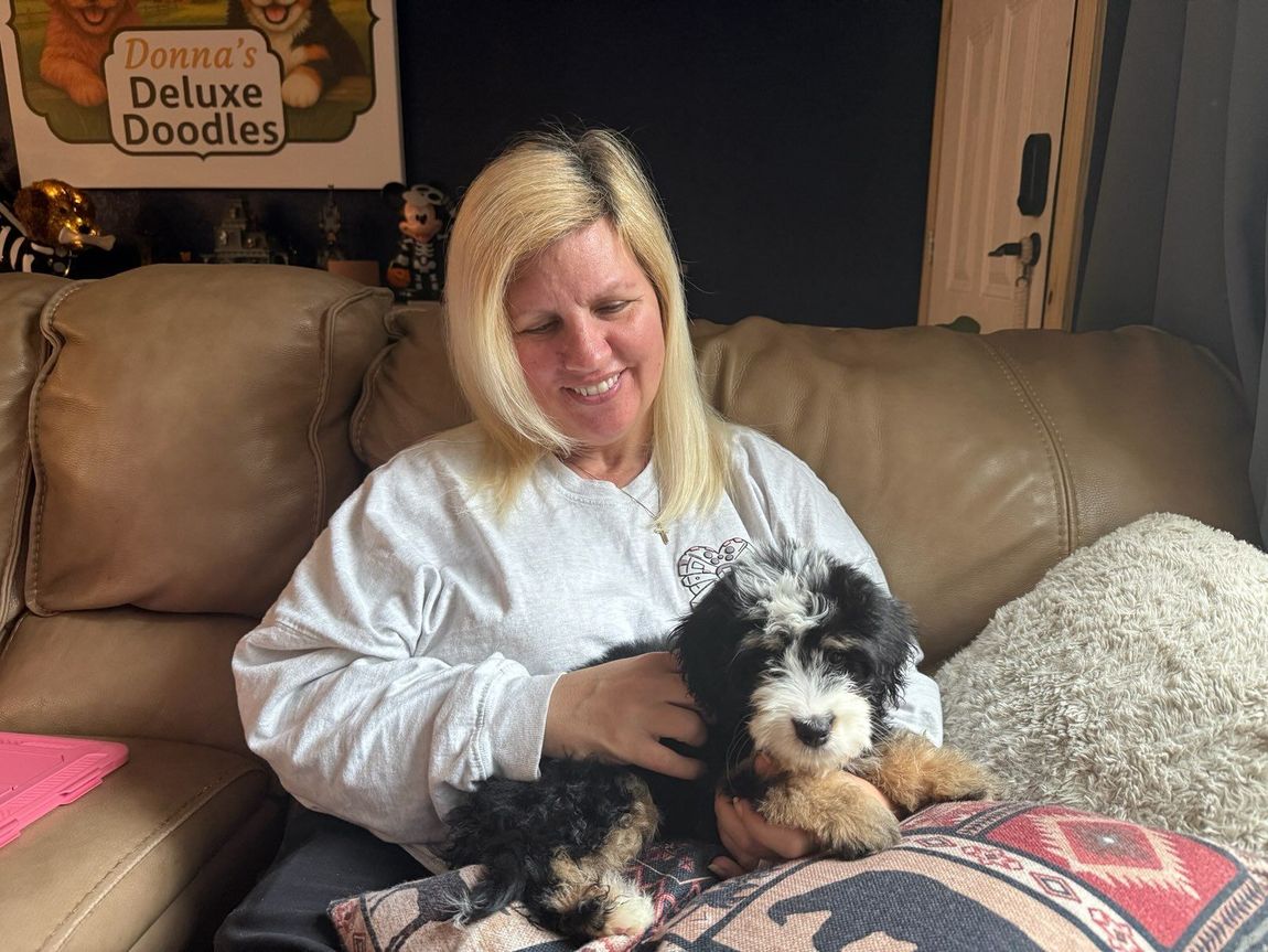 Donna cuddling a Bernedoodle puppy on the couch