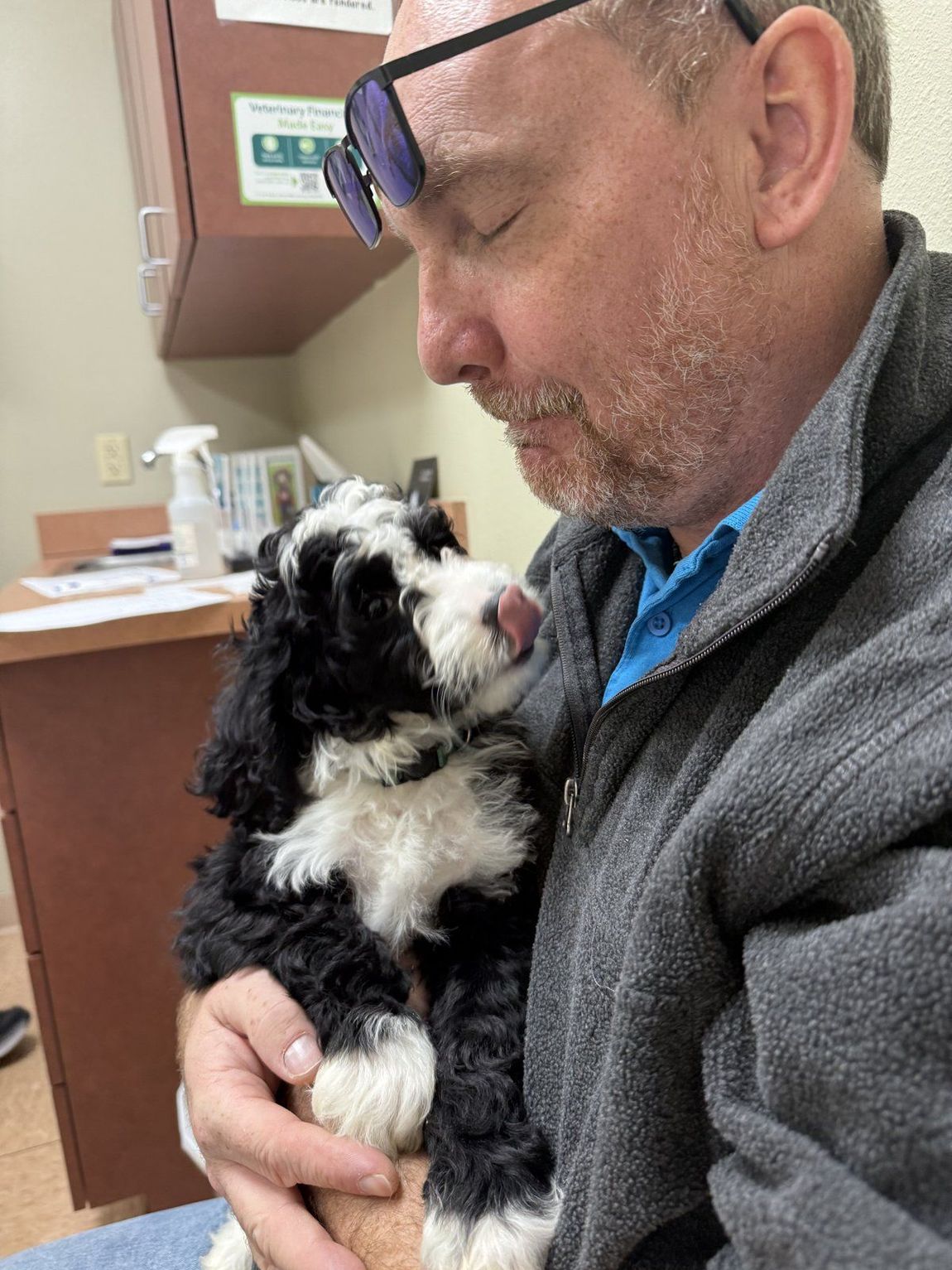 Family member holding a Bernedoodle puppy