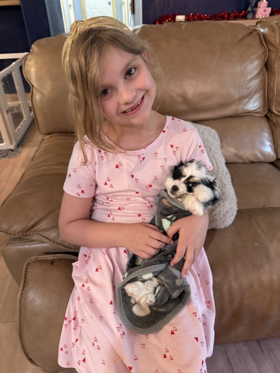 Little girl in a pink dress holding a puppy