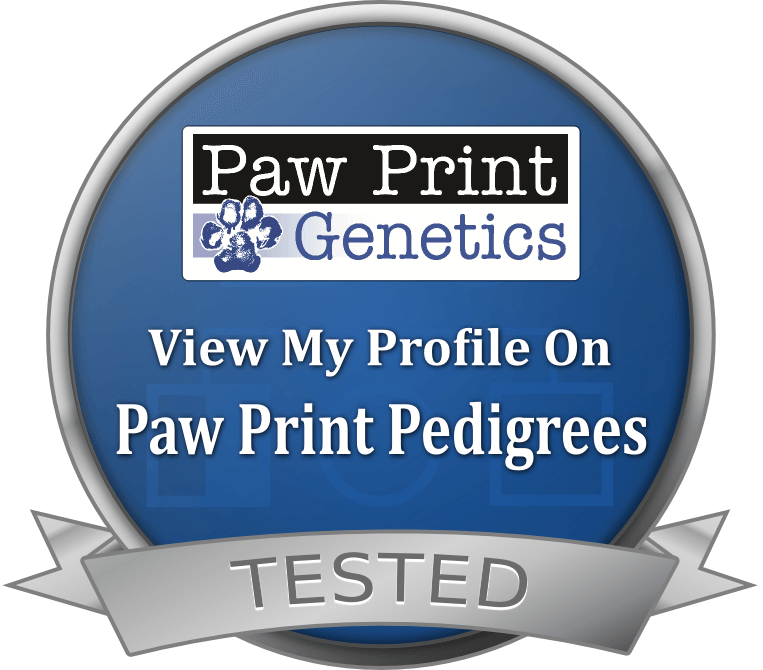 A paw print genetics badge that says view my profile on paw print pedigrees