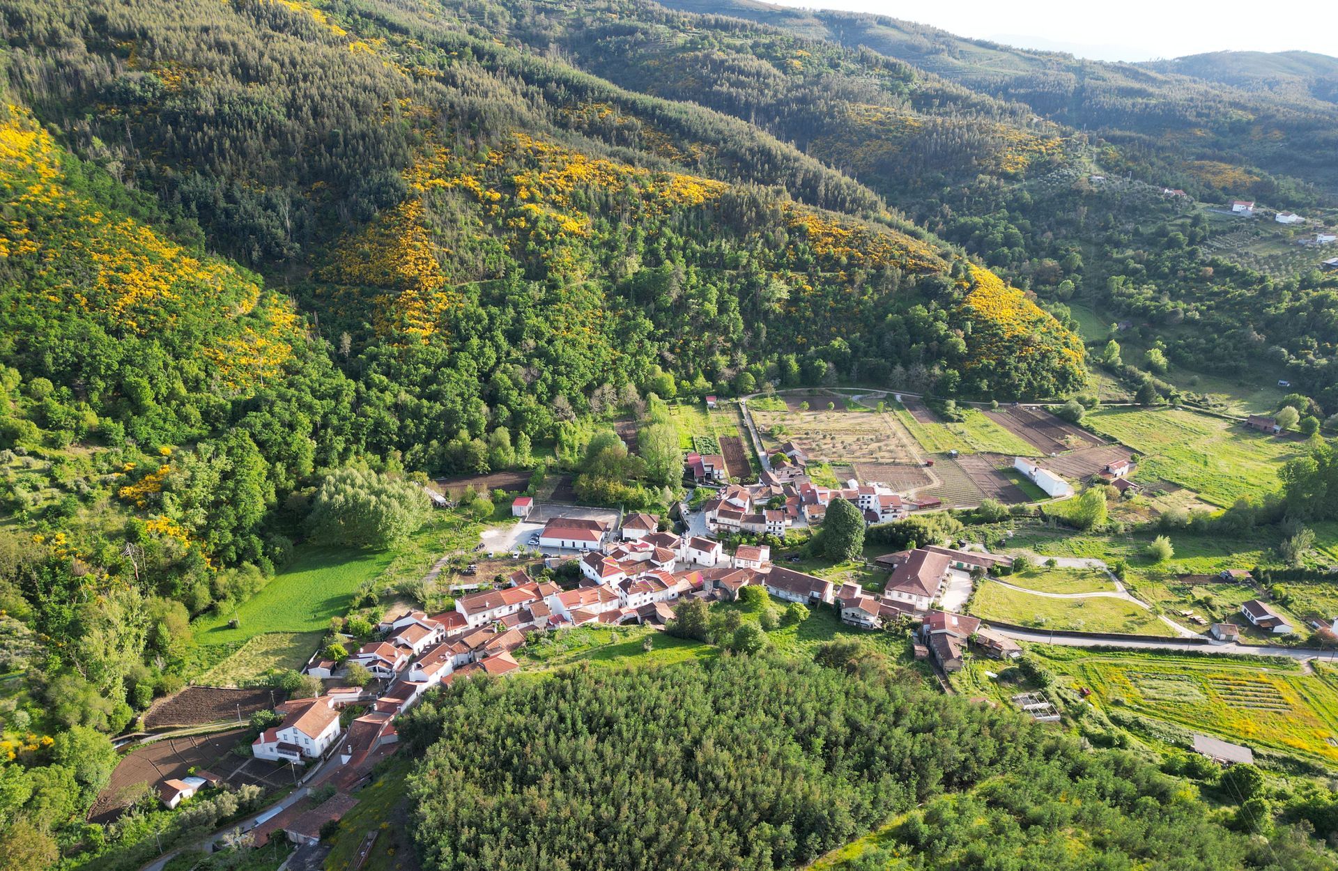 Cultural Gastronomic Holidays