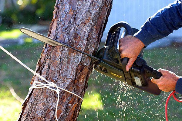 Tree Removal Service — Mt. Juliet, TN — Love It Landscaping & Tree Tree Removal Service — Mt. Juliet, TN — Love It Landscaping & Tree
