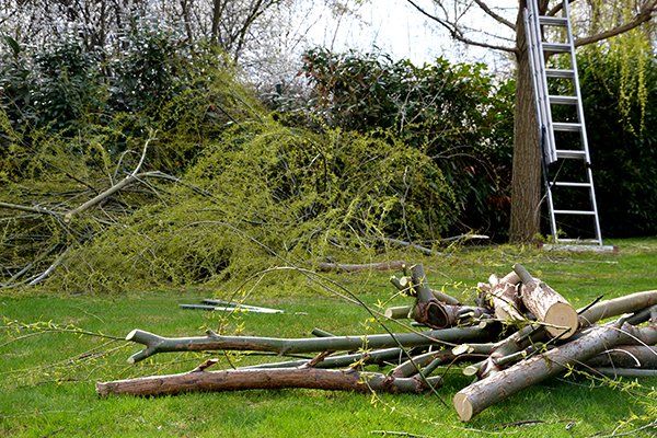 Cleaning Fallen Trees — Mt. Juliet, TN — Love It Landscaping & Tree Cleaning Fallen Trees — Mt. Juliet, TN — Love It Landscaping & Tree