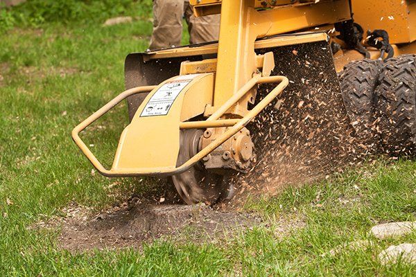Stump Grinding Expert — Mt. Juliet, TN — Love It Landscaping & Tree Stump Grinding Expert — Mt. Juliet, TN — Love It Landscaping & Tree