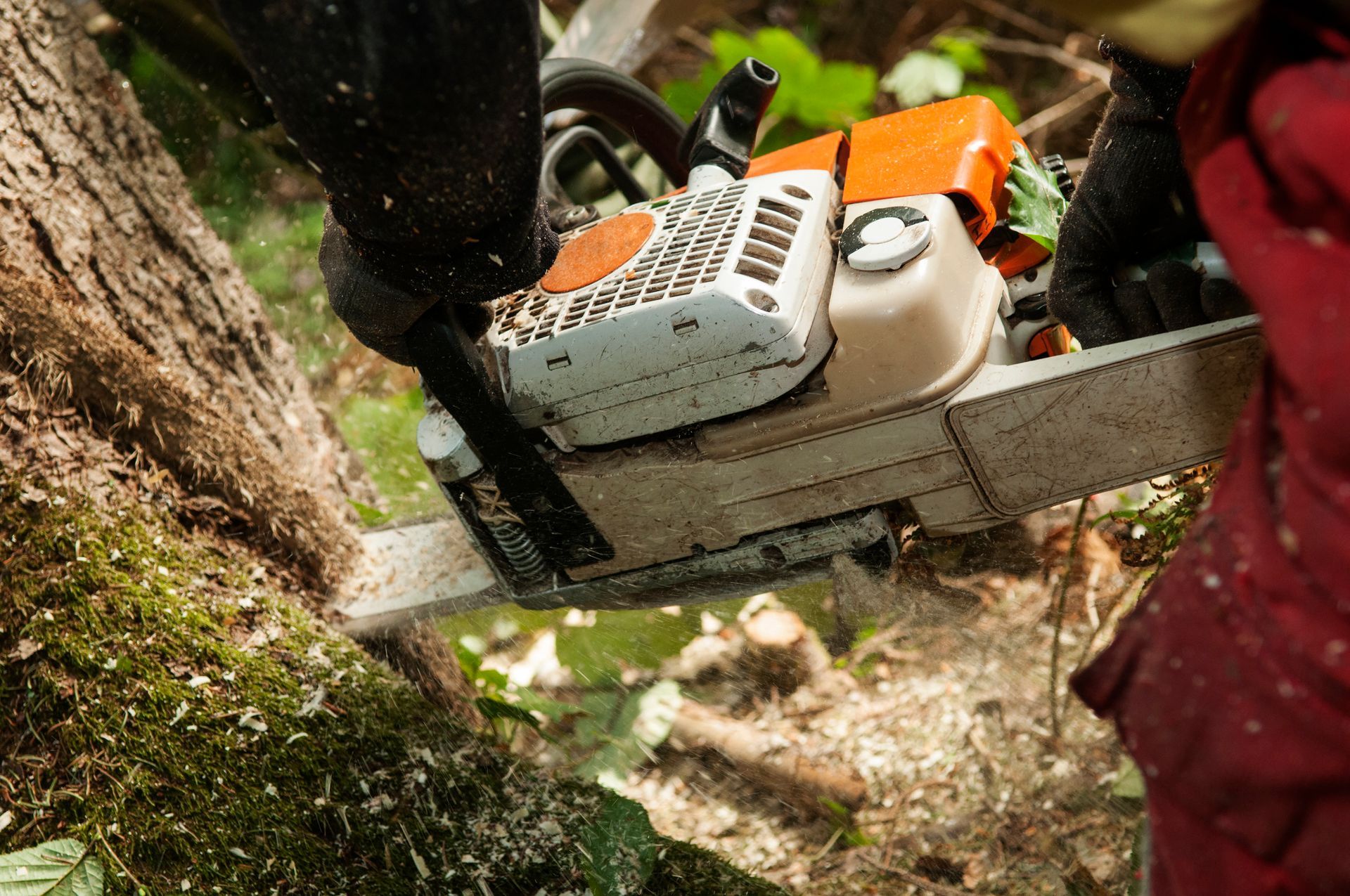 Landscaping Services — Mt. Juliet, TN — Love It Landscaping & Tree Landscaping Services — Mt. Juliet, TN — Love It Landscaping & Tree