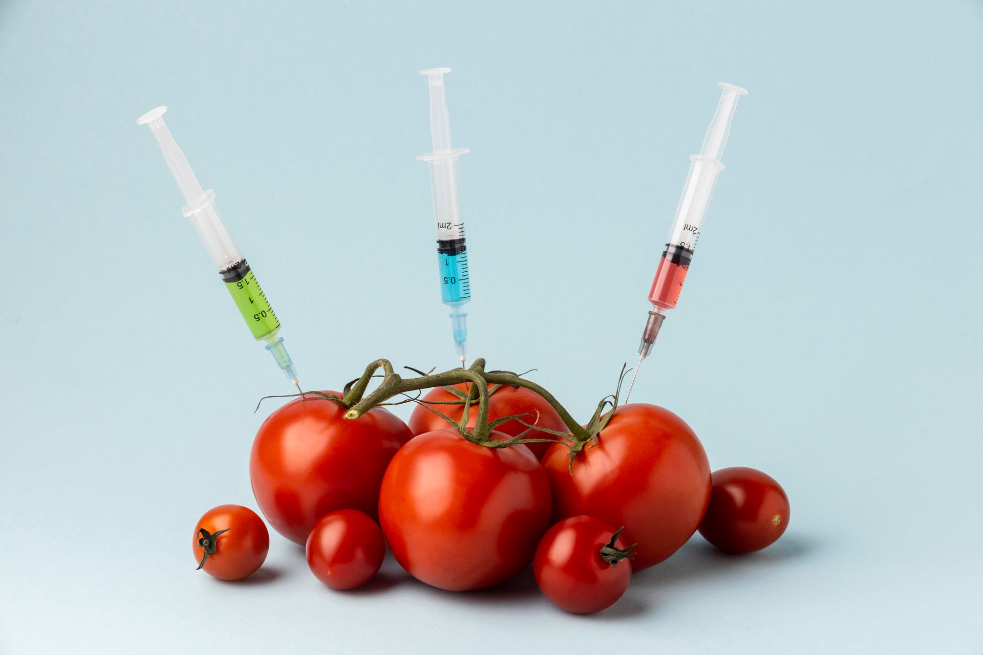 Tomatoes injected with syringes of colored liquid against a blue background.