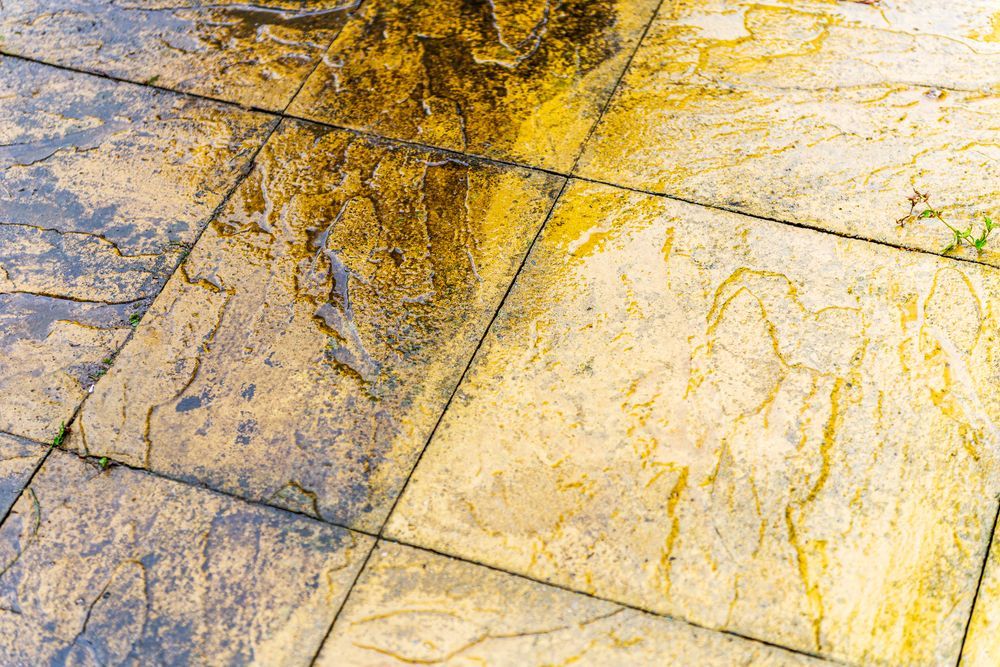 Golden, Rectangular Stone Pavers Showing a Mix of Dry — Pressure Perfect Cleaning Solutions in Bungendore, NSW