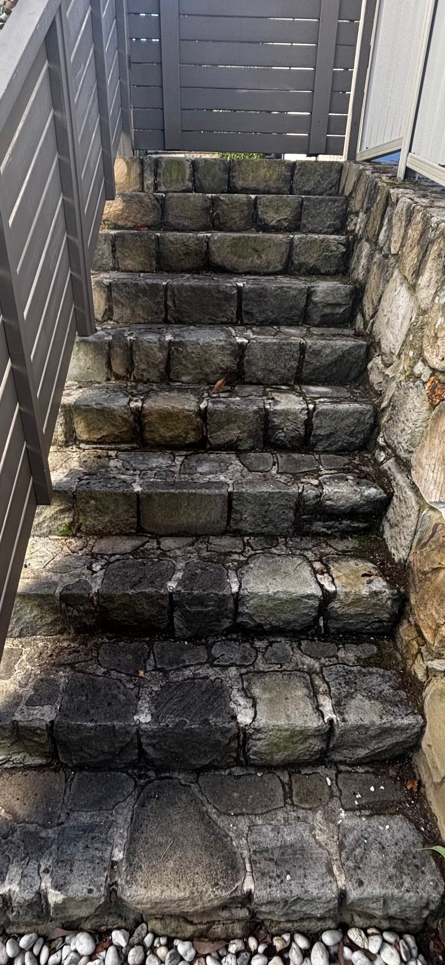 Stairs With Moss — Pressure Perfect Cleaning Solutions in Symonston, ACT