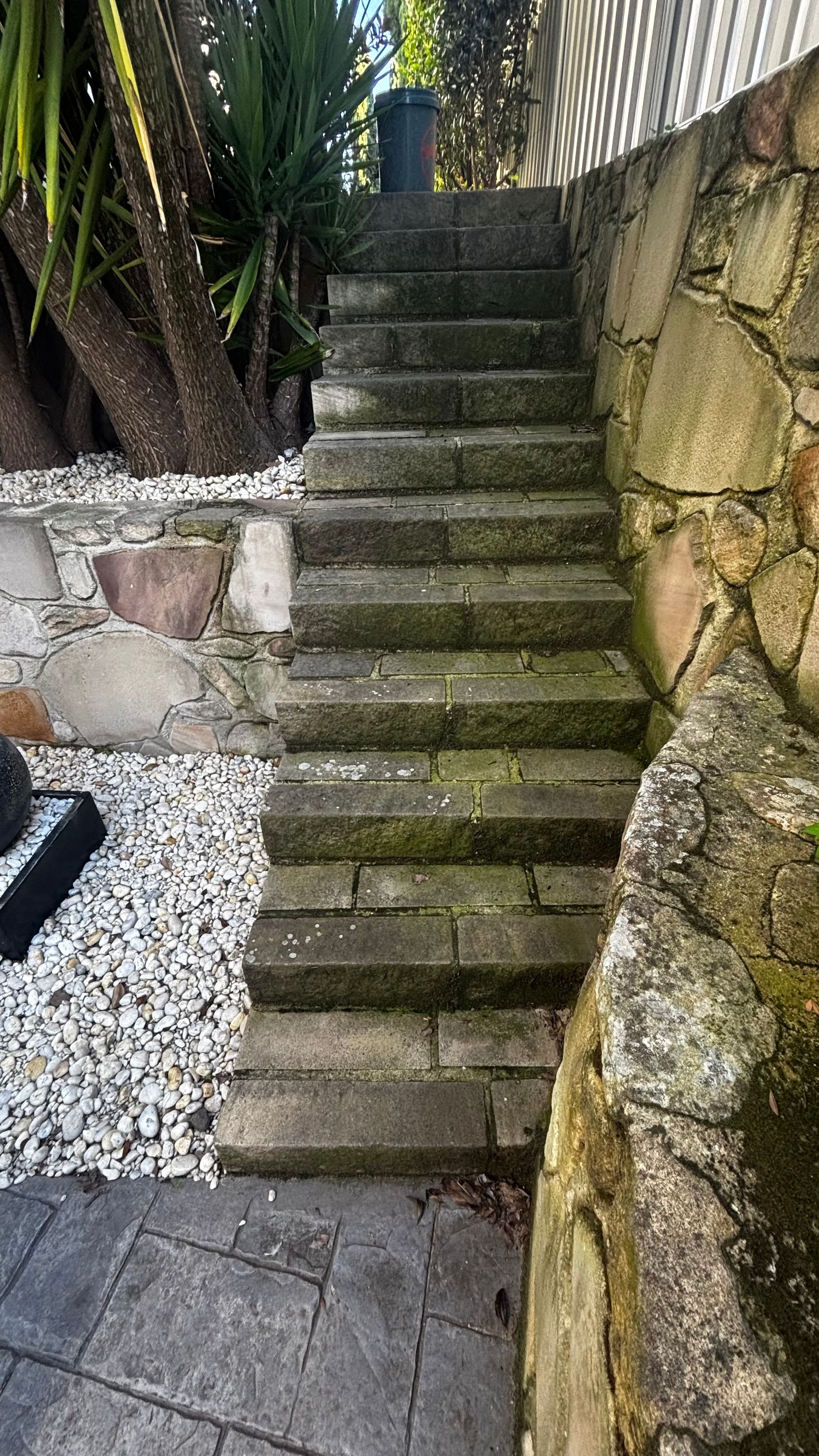 Narrow mossy stone staircase outdoors between a rock wall and plants, leading upward.
