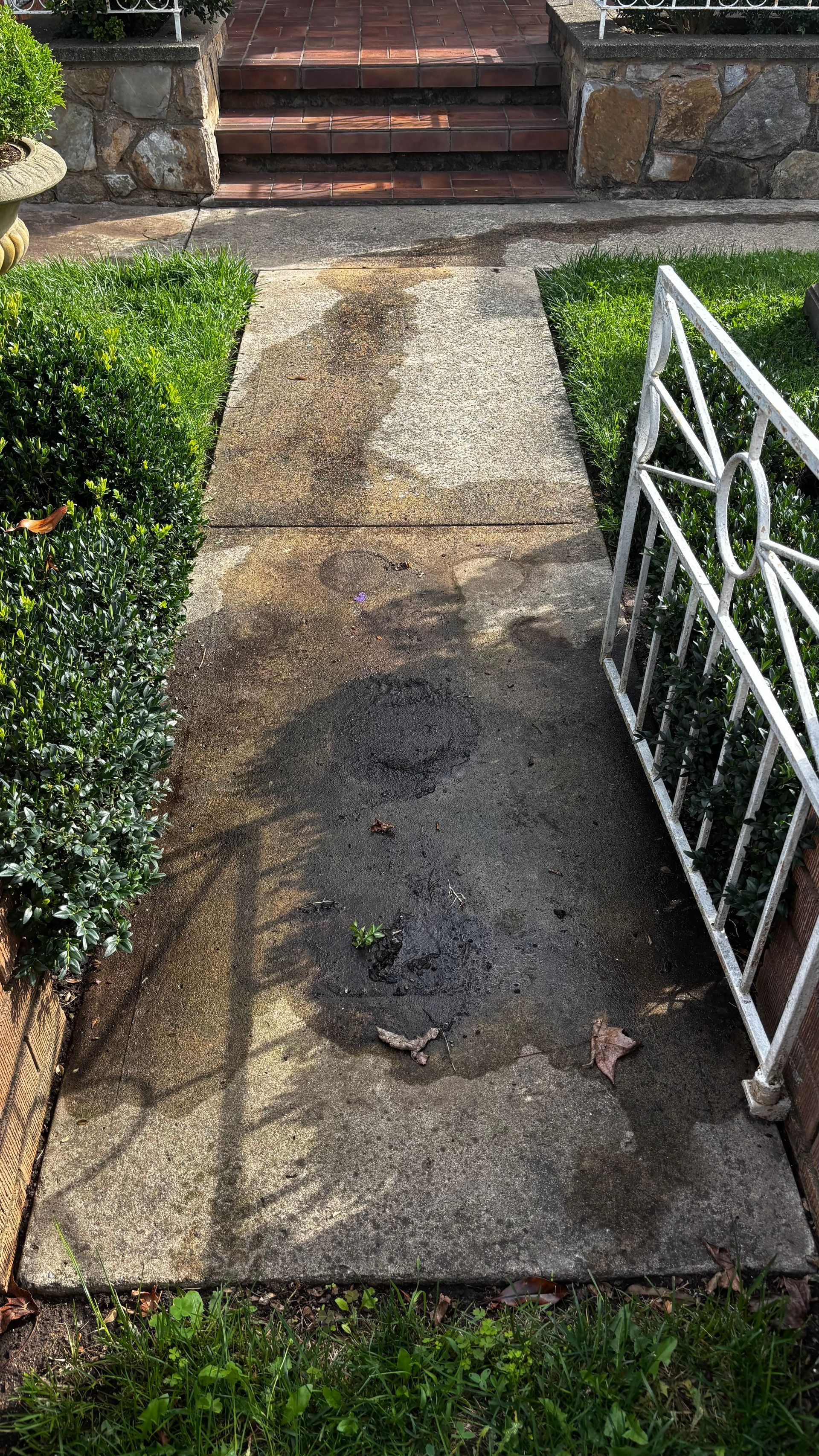 Concrete Walkway Leading to Steps is Stained With Dark — Pressure Perfect Cleaning Solutions in Yass, NSW