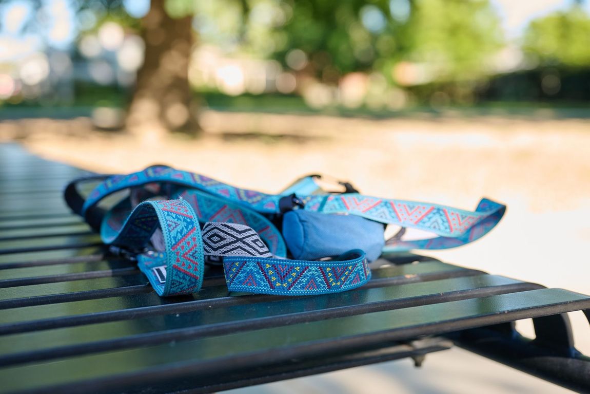 Blue patterned dog leash — boise apartments for rent