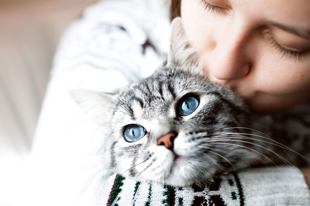 Pets are Welcome at Liberty Lake Apartments — boise apartments for rent