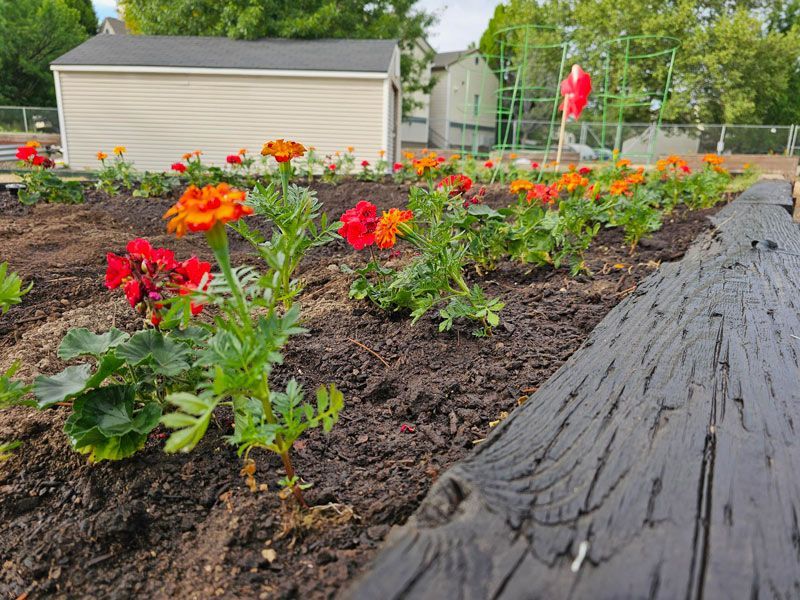 Garden Box Rentals — Apartments Boise Idaho