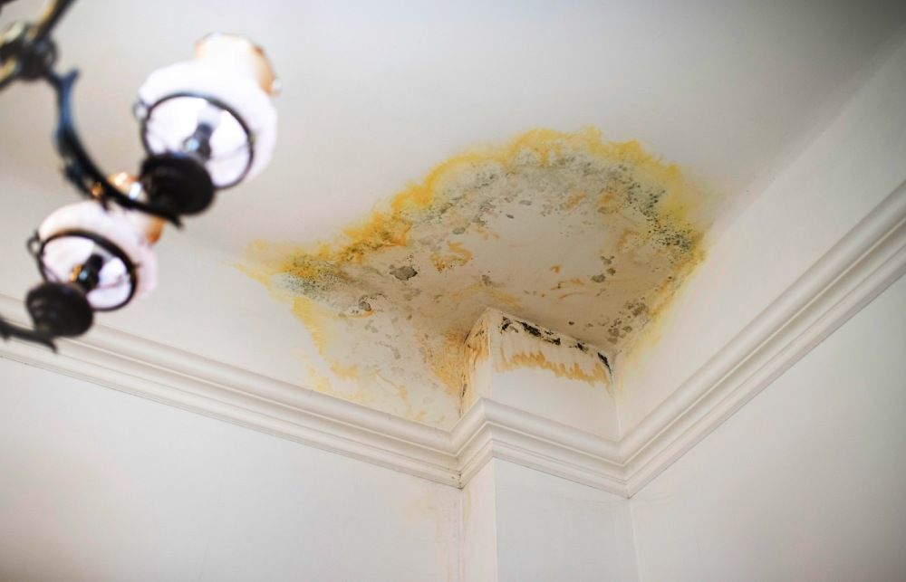 Cost to Repair Water Damage