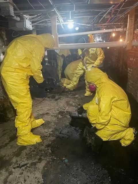 Mold Removal