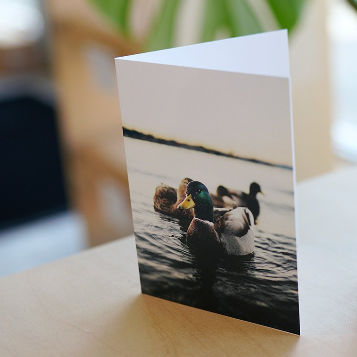 Greeting Cards