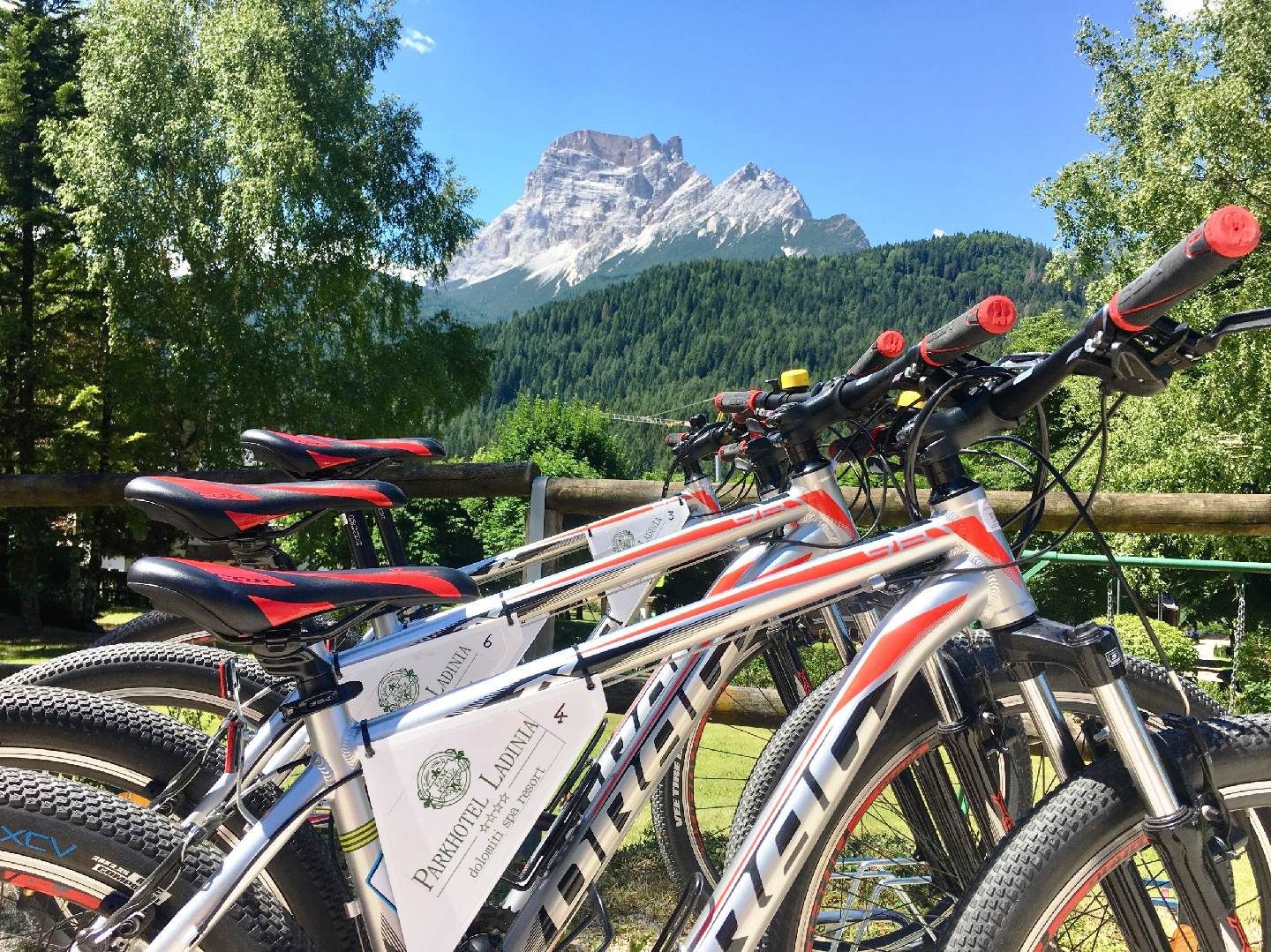 Bikes lined up with mountain backdrop under a clear blue sky