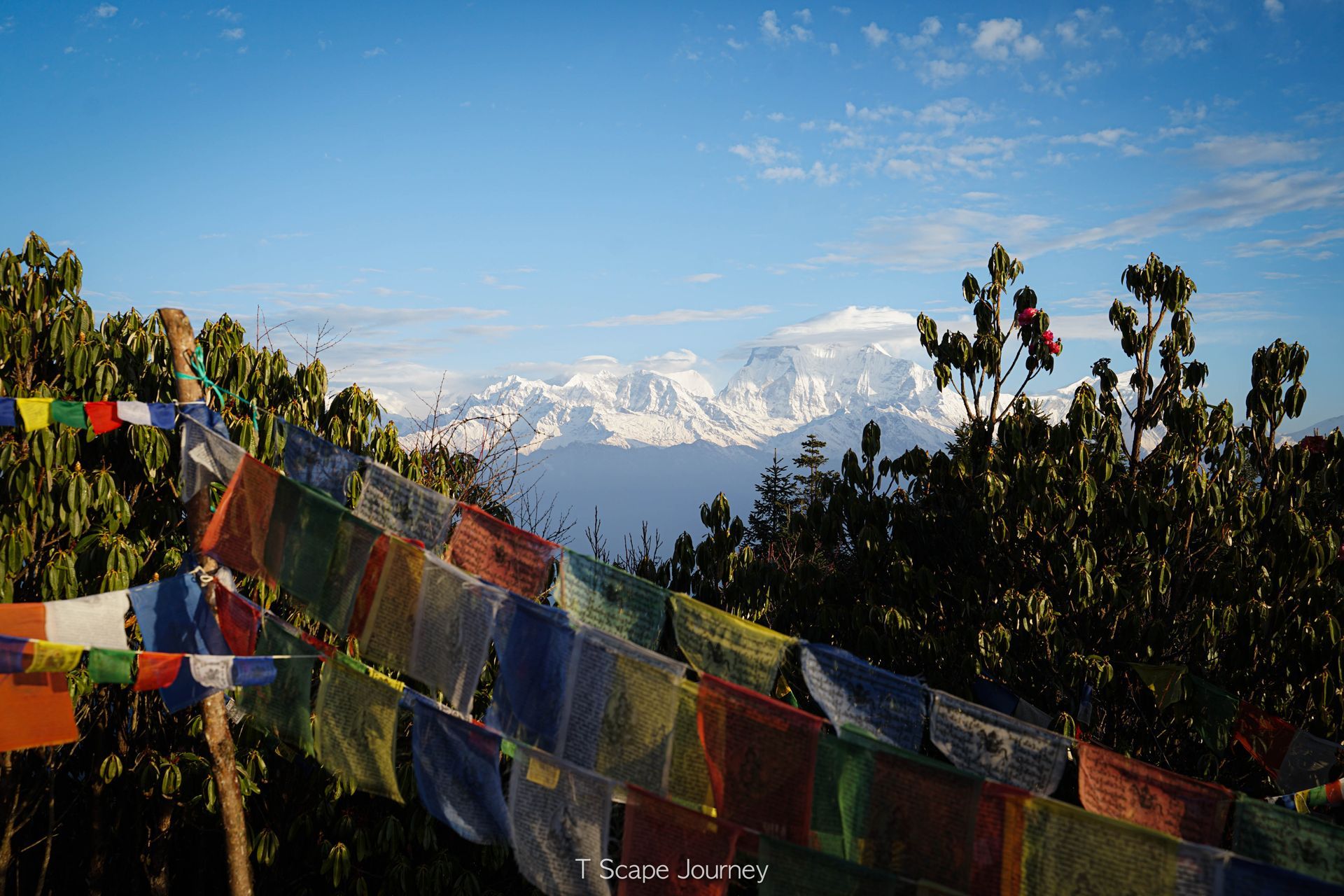 Mardi Himal Trek