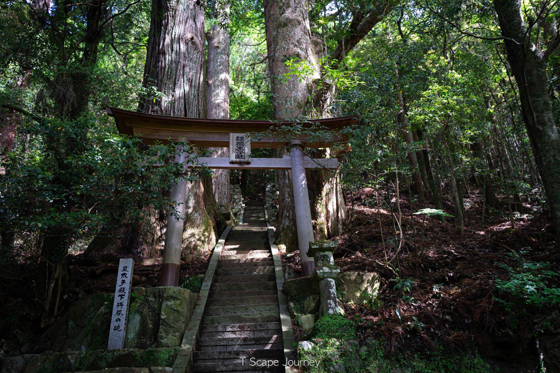 Kumano Kodo