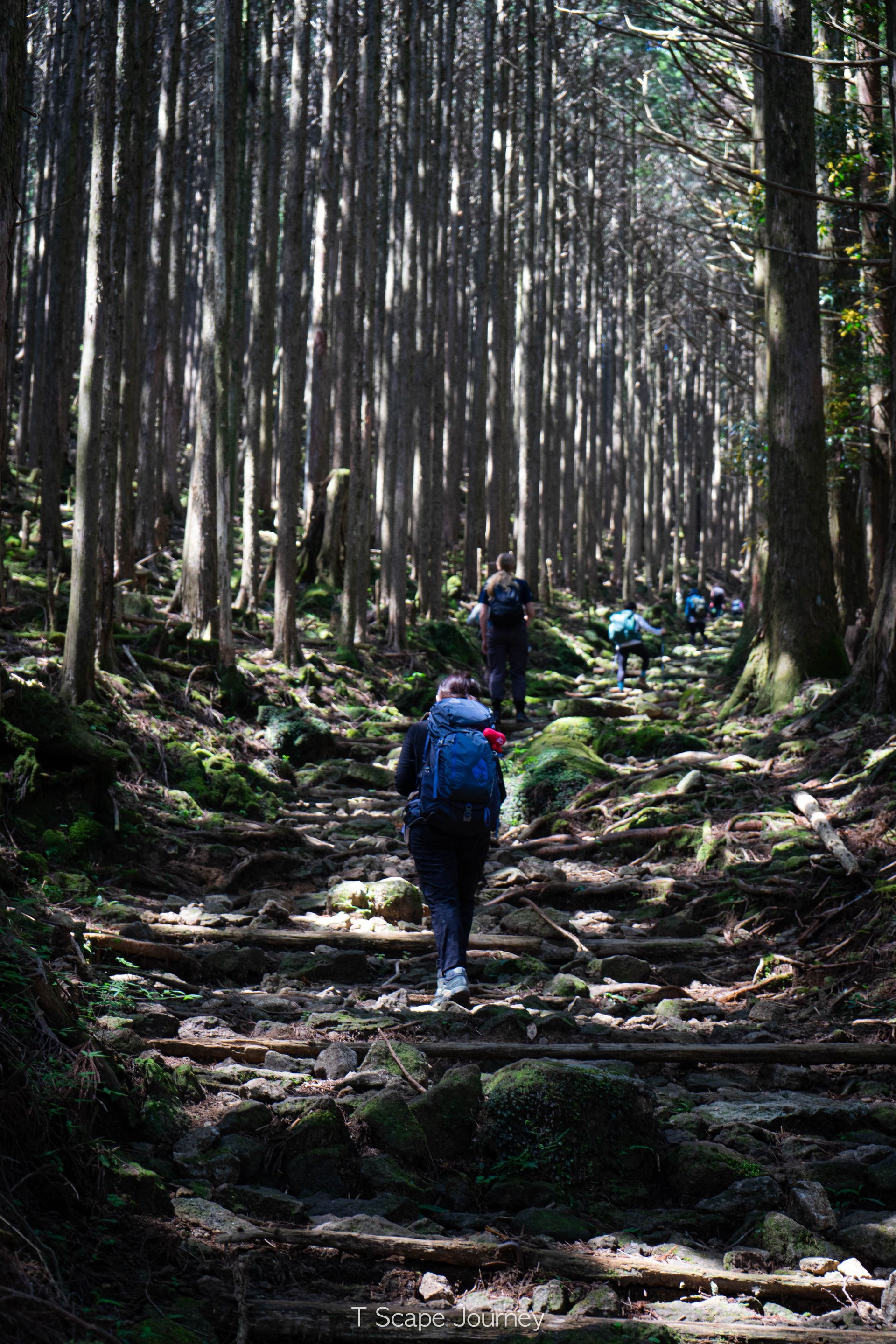 Northern Japan Alps 