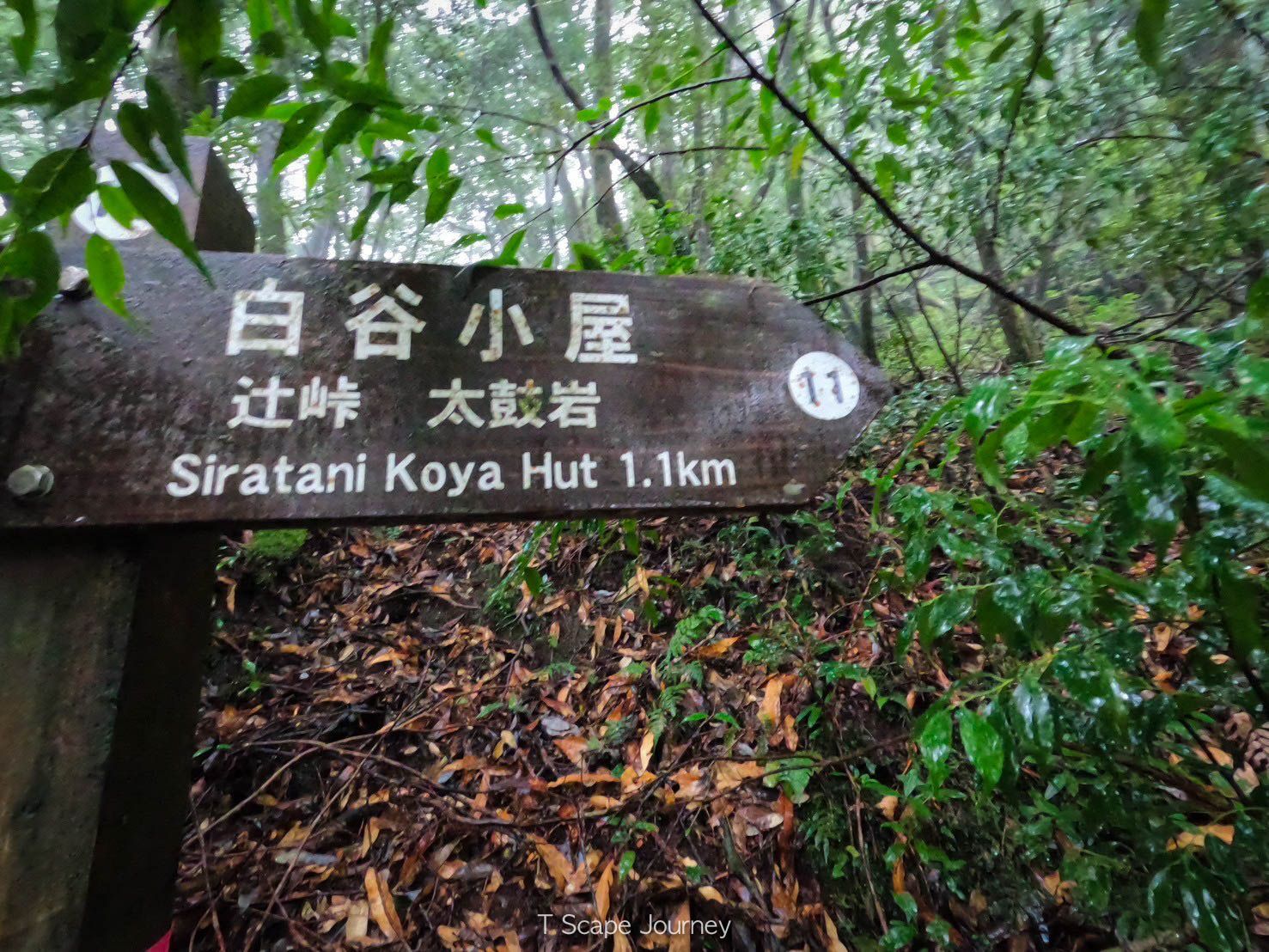 Northern Japan Alps 