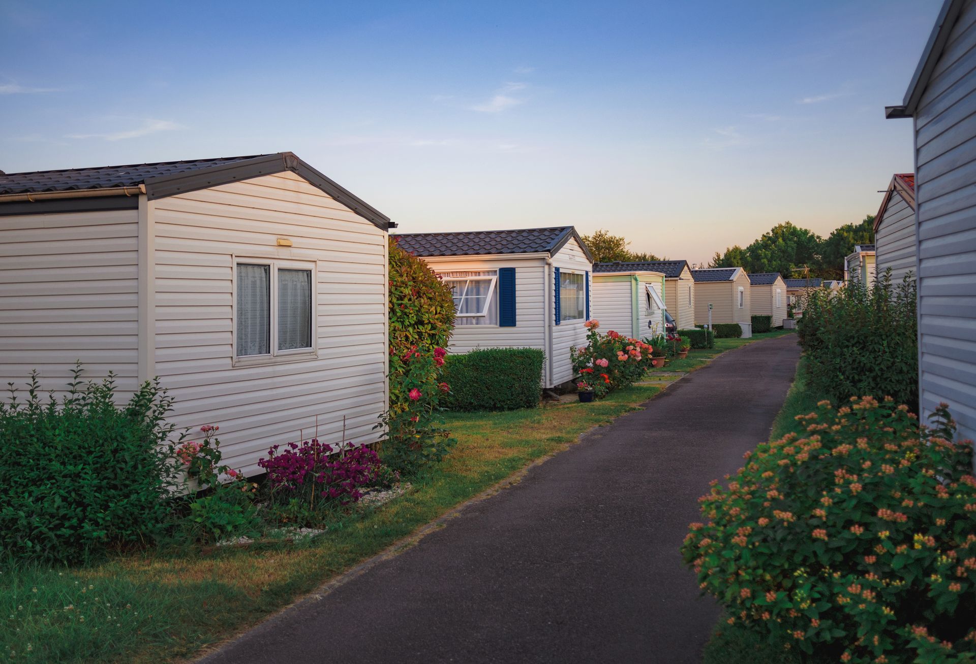 Mobile homes lining a quiet paved path at dusk, with flower beds and soft evening light