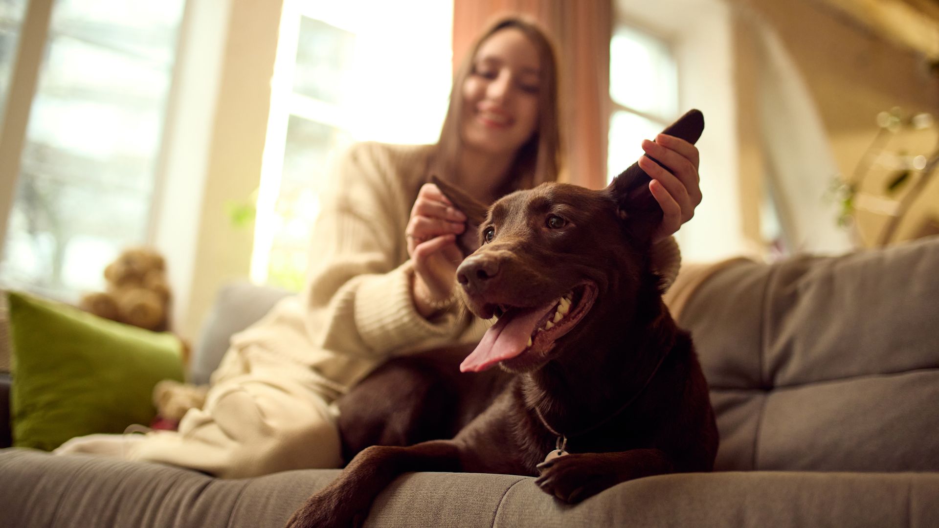 Woman on a couch petting a happy brown dog with tongue out in a sunlit living room