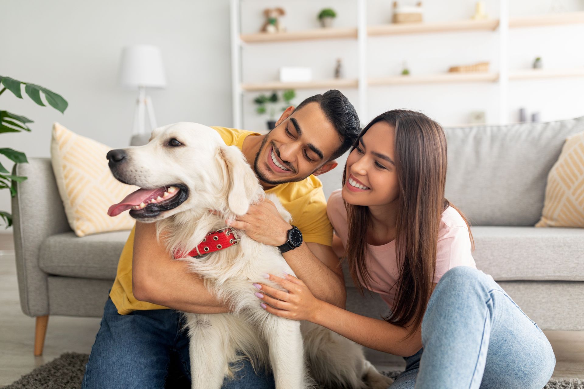 Family cuddling a golden retriever on a living room couch