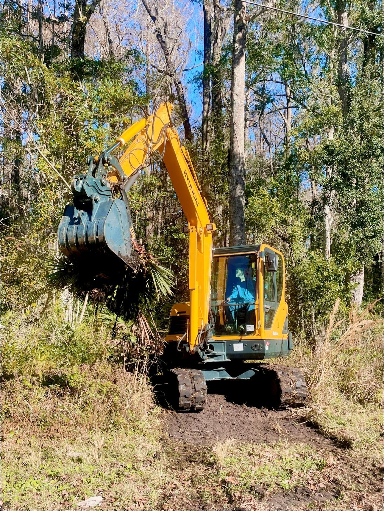 Professional Land Clearing in Bushnell, FL