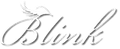 The word blink is written in cursive with wings on a white background.