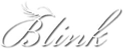 The word blink is written in cursive with wings on a white background.