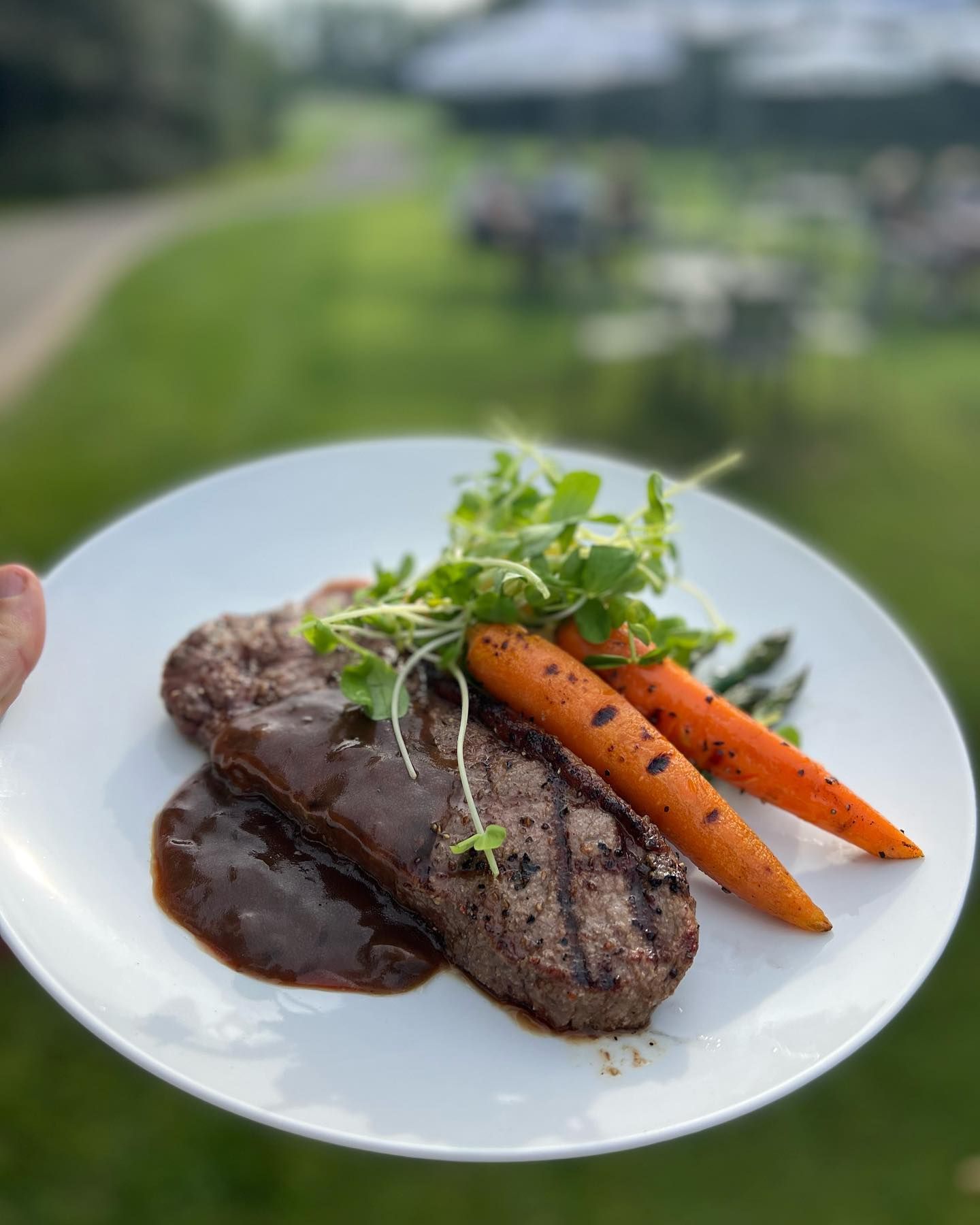 A person is holding a white plate with a steak and carrots on it.