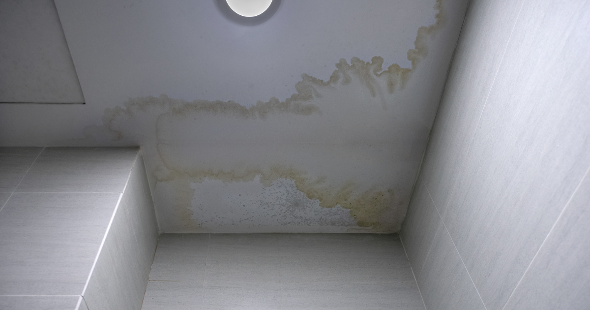 Water damage stains on a bathroom ceiling from a leak, a common homeowners insurance claim in Texas.