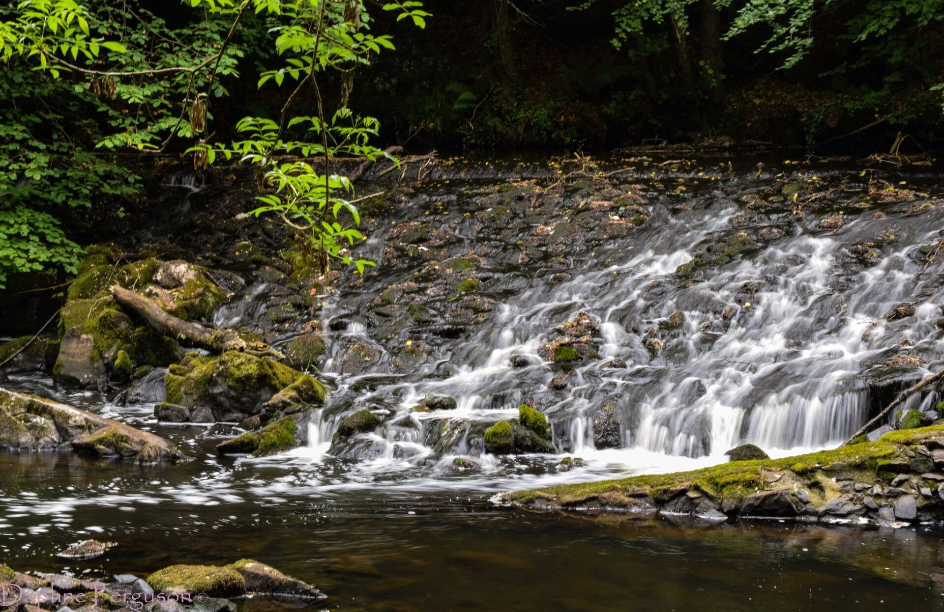 Clare Glen Caravan Park CampingNI
