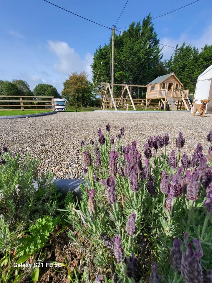 Limerick Aire & Campsite - Camping Club Card by CampingNI