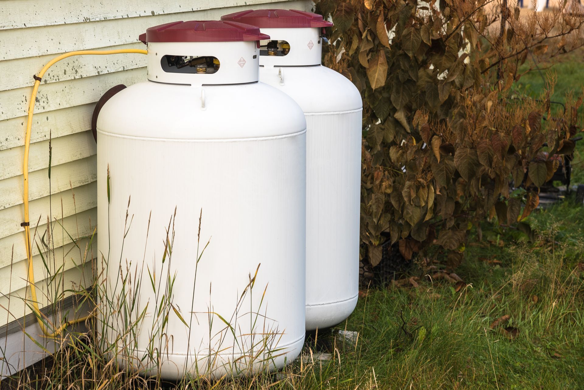 Two white propane tanks beside a home