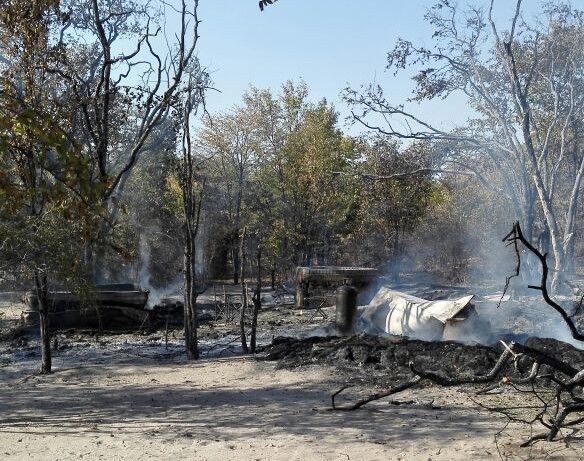 Charred forest with smoke rising from a burned shelter and scorched trees