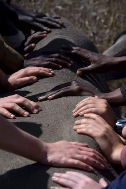 Hands reaching and resting on a rough stone surface outdoors in sunlight.