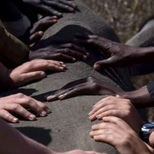 Hands of multiple people resting on a large rock outdoors, suggesting teamwork or support