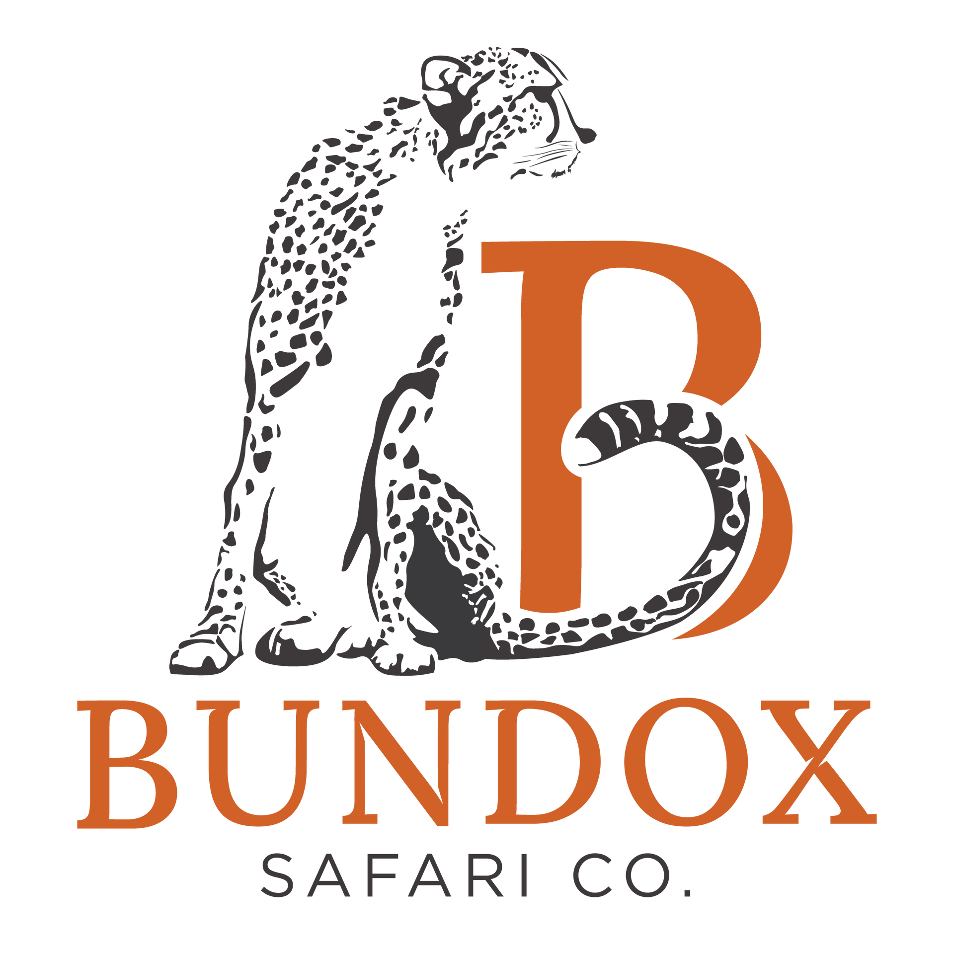 Cheetah next to an orange 