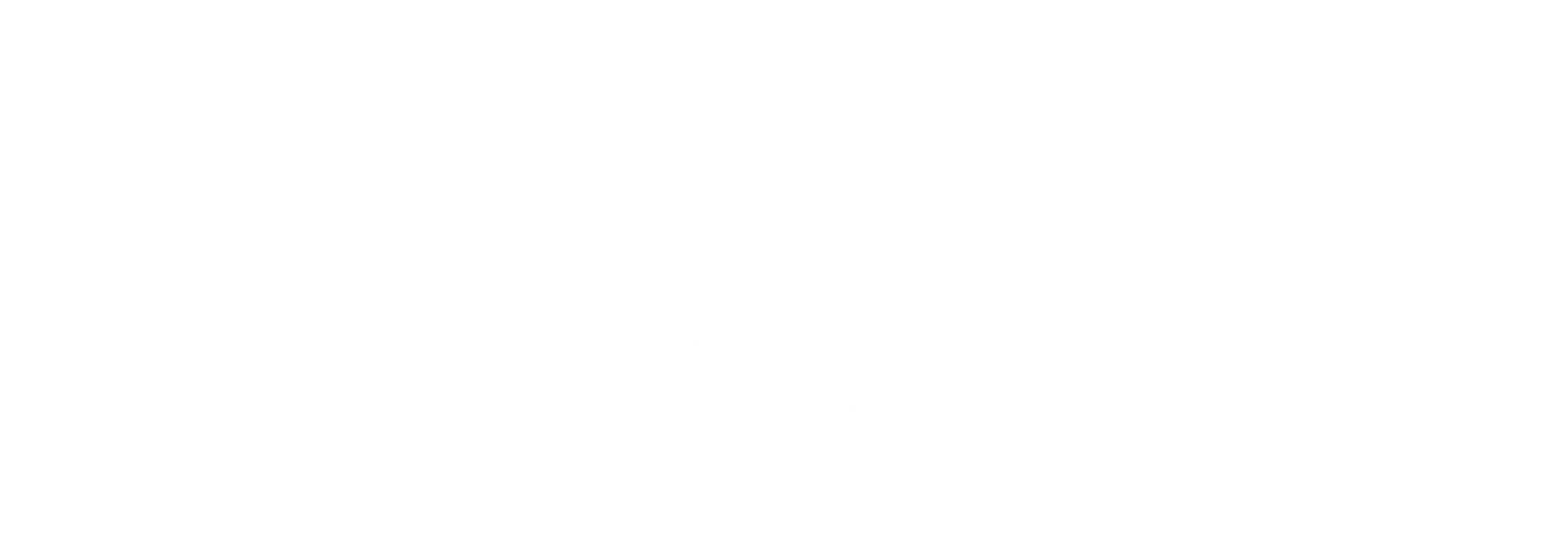 Bundox white logo.